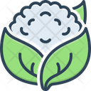 پیش‌نمایش فایل cauliflower-2715516 از پک سبزیجات