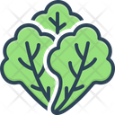 پیش‌نمایش فایل lettuce-2715537 از پک سبزیجات