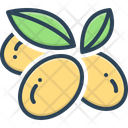 پیش‌نمایش فایل olives-2715535 از پک سبزیجات