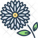 پیش‌نمایش فایل chrysanthemum-2758117 از پک گل