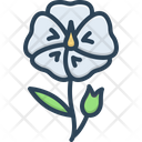 پیش‌نمایش فایل flax-flower-2758112 از پک گل