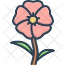 پیش‌نمایش فایل hollyhock-2758111 از پک گل