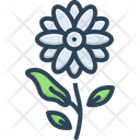پیش‌نمایش فایل magnolia-2758108 از پک گل