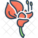پیش‌نمایش فایل erythrina-2758166 از پک گل