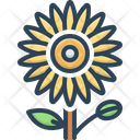 پیش‌نمایش فایل ice-plant-flowers-2758163 از پک گل