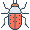 پیش‌نمایش فایل beetle-2757981 از پک حشرات