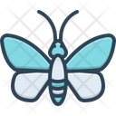 پیش‌نمایش فایل butterfly-2757979 از پک حشرات