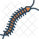 پیش‌نمایش فایل centipede-2757976 از پک حشرات