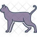 پیش‌نمایش فایل cat-2758826 از پک حیوان خانگی