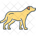 پیش‌نمایش فایل dog-2758824 از پک حیوان خانگی