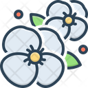 پیش‌نمایش فایل flower-2773037 از پک متفرقه