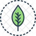 پیش‌نمایش فایل leaf-3277662 از پک متفرقه