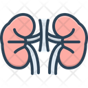 پیش‌نمایش فایل kidney-3334091 از پک متفرقه