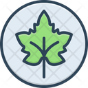 پیش‌نمایش فایل leaf-4549144 از پک متفرقه