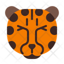 پیش‌نمایش فایل cheetah-23 از پک ملاقات با پستانداران