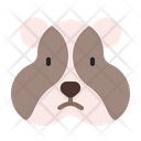 پیش‌نمایش فایل hamster-27 از پک ملاقات با پستانداران
