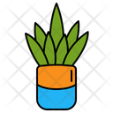 پیش‌نمایش فایل plant-on-pot-10743628 از پک بوم شناسی
