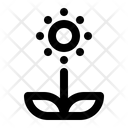 پیش‌نمایش فایل flower-1477194 از پک فصل بهار