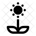 پیش‌نمایش فایل flower-1477156 از پک فصل بهار
