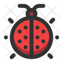 پیش‌نمایش فایل ladybug-1477171 از پک فصل بهار