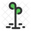 پیش‌نمایش فایل sprout-1477167 از پک فصل بهار
