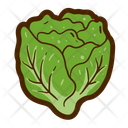 پیش‌نمایش فایل lettuce-14003570 از پک کارتون مواد غذایی