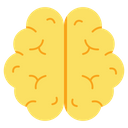 پیش‌نمایش فایل brain-9572438 از پک مدرسه و آموزش