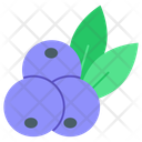 پیش‌نمایش فایل blueberries-10401114 از پک فست فود و سبزیجات