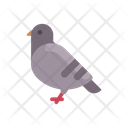 پیش‌نمایش فایل pigeon-2546912 از پک حیوان