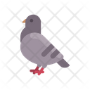 پیش‌نمایش فایل pigeon-2546913 از پک حیوان
