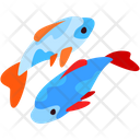 پیش‌نمایش فایل fishes-4873385 از پک ژاپن