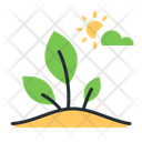 پیش‌نمایش فایل crop-5208685 از پک باغبانی