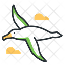 پیش‌نمایش فایل albatross-5208641 از پک پرندگان