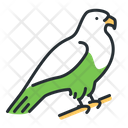 پیش‌نمایش فایل buzzard-5208620 از پک پرندگان