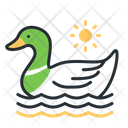 پیش‌نمایش فایل duck-5208622 از پک پرندگان