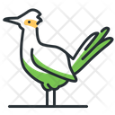 پیش‌نمایش فایل greater-roadrunner-5208616 از پک پرندگان