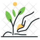 پیش‌نمایش فایل plant-a-tree-5208582 از پک خیریه