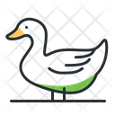 پیش‌نمایش فایل duck-5208460 از پک حیوانات مزرعه