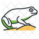 پیش‌نمایش فایل frog-5208475 از پک حیوانات