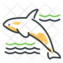پیش‌نمایش فایل killer-whale-5208500 از پک حیوانات