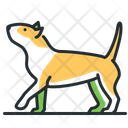 پیش‌نمایش فایل bull-terrier-5208414 از پک نژادهای سگ