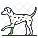 پیش‌نمایش فایل dalmatian-5208401 از پک نژادهای سگ