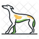 پیش‌نمایش فایل greyhound-5208403 از پک نژادهای سگ
