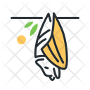 پیش‌نمایش فایل fruit-bat-5208435 از پک پستانداران