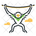 پیش‌نمایش فایل gibbon-5208417 از پک پستانداران
