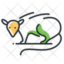 آیکن
