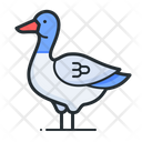 پیش‌نمایش فایل duck-5264620 از پک مزرعه