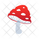 پیش‌نمایش فایل poisonous-mushroom-5692016 از پک هالووین، جلد ۱