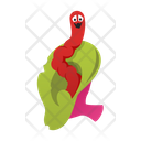 آیکن