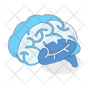پیش‌نمایش فایل brain-5691761 از پک زیست‌شناسی